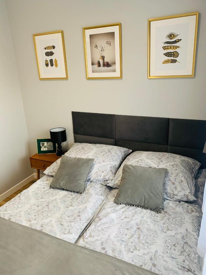 Apartament Stemar Z Dyzym Baloknem ゴジュフ・ヴィエルコポルスキ エクステリア 写真